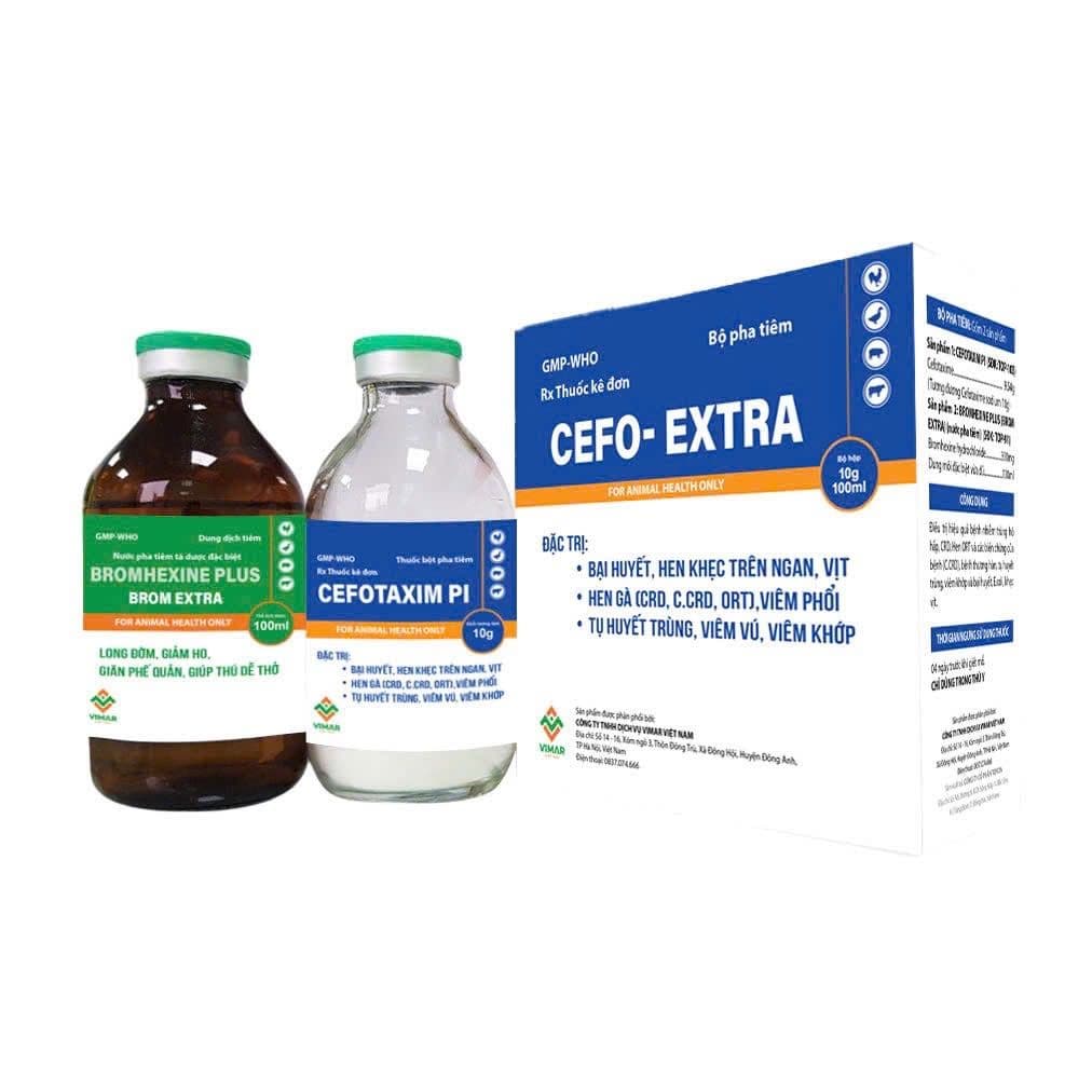 CEFOR-EXTRA